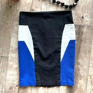 Pencil Skirt, Bold Shape Enhancing Color Blocking